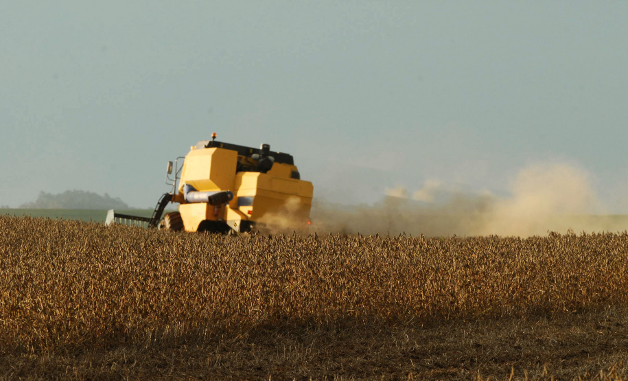 Colheita de Soja Paraná prevê 23,3 milhões de toneladas na safra de verão 2019/2020.