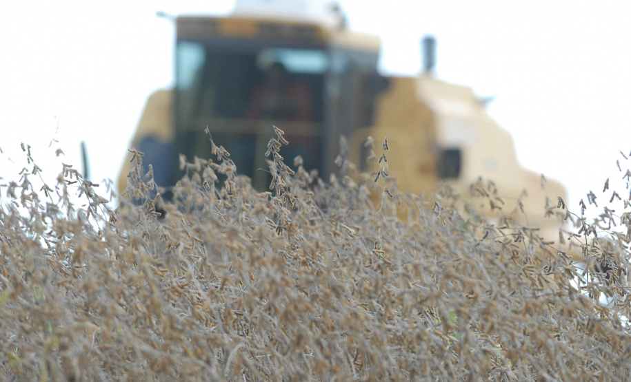 Colheita de Soja Colheita e plantação de soja no interior de Cascavel. Foto Jonas Oliveira