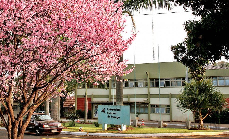 Prorrogadas as inscrições para mestrado profissional de servidores. Foto: Arquivo/AEN
