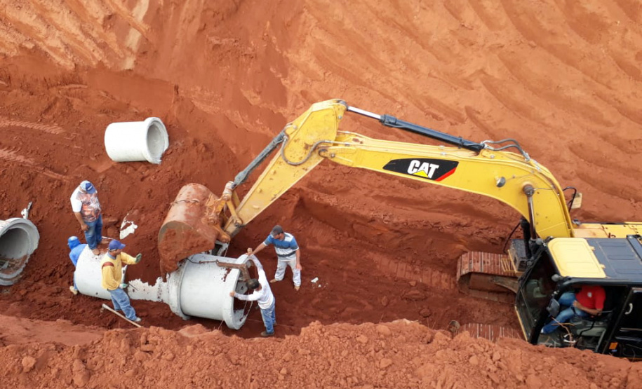 Cerca de 39 mil tubos foram entregues para 28 municípios neste ano. Foto: Divulgação/Instituto das Águas
