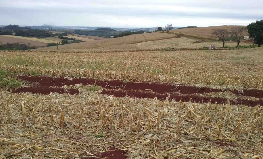 A Secretaria de Estado da Administração e da Previdência lançou o Edital de Concorrência Pública 37/2019 para a venda de 24 imóveis públicos que estão sem uso. Juntas, as propriedades têm valor total de R$15.456.229,50. O formato da licitação é a apresentação da maior oferta a partir do mínimo estipulado. Terreno em Assaí.
