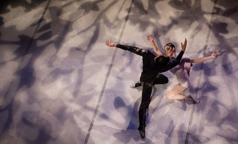 Exposição, música e encontros literários marcam a programação da Biblioteca em setembro. Foto: Cayo Vieira/CCTG