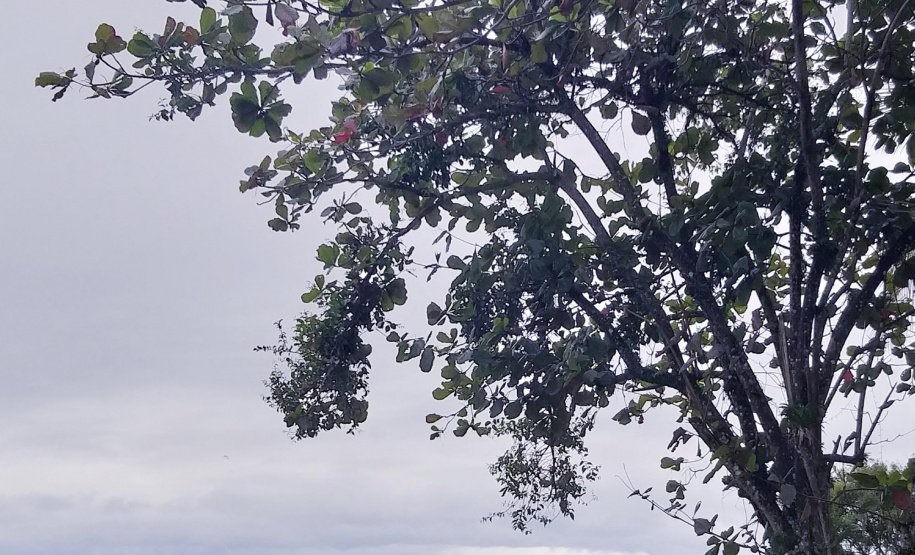 O Porto Barão do Teffé, em Antonina, no Litoral do Paraná, é cenário de uma das cenas do longa-metragem brasileiro Paixões Recorrentes no Atlântico Sul, da diretora Ana Carolina Teixeira Soares. O filme todo está sendo gravado no Litoral, nesta semana. Foto:Divulgação/Portos do Paraná