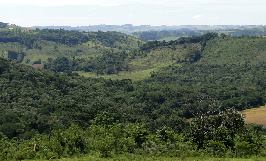 Estado abre 220 vagas para residência técnica na área ambiental. Foto: SEDEST