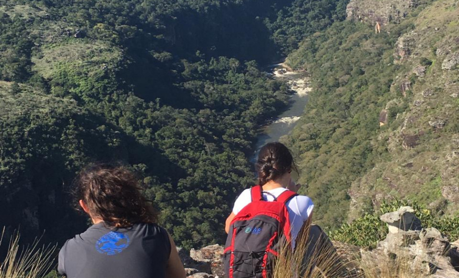 Abertas as inscrições para o processo seletivo de residência técnica na área ambiental. Foto:Letícia Salomão / IAP