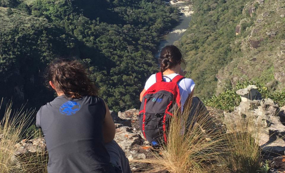 Abertas as inscrições para o processo seletivo de residência técnica na área ambiental. Foto:Letícia Salomão / IAP