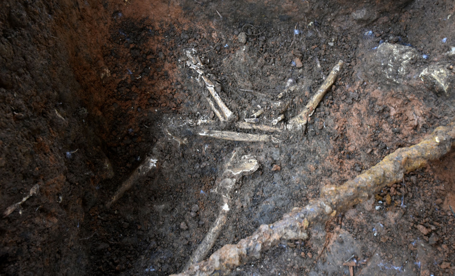 A equipe do Departamento de Arqueologia do Museu Paranaense vem desenvolvendo pesquisas arqueológicas no entorno do Palácio Belvedere, prédio histórico localizado na Praça João Cândido, Alto São Francisco, em Curitiba, e que está sendo revitalizado pela prefeitura da capital. Desde o início das escavações, em agosto, já foram encontrados fragmentos de ossos, de cerâmica, e até mesmo ossadas inteiras, muito bem preservadas. Foto:Kraw Penas/SECC