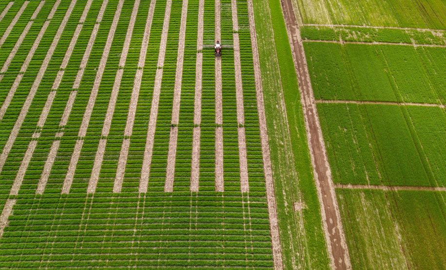 Investimentos do Estado e do setor incrementarão agronegócio. Foto: José Fernando Ogura/AEN