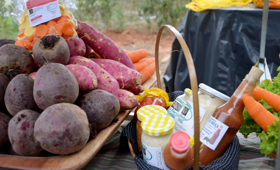 Agudos do Sul, na Região Metropolitana de Curitiba, inaugurou na tarde desta quinta-feira (5) a primeira Unidade de Alimentos Minimamente Processados, espaço para promover o desenvolvimento e o crescimento econômico das famílias rurais, gerando emprego e aumento de renda.
O secretário de Estado da Agricultura e do Abastecimento, Norberto Ortigara, destacou a importância da produção de alimentos de qualidade e elogiou a capacidade de organização da comunidade local. Foto: Gisele Barão/SEAB
