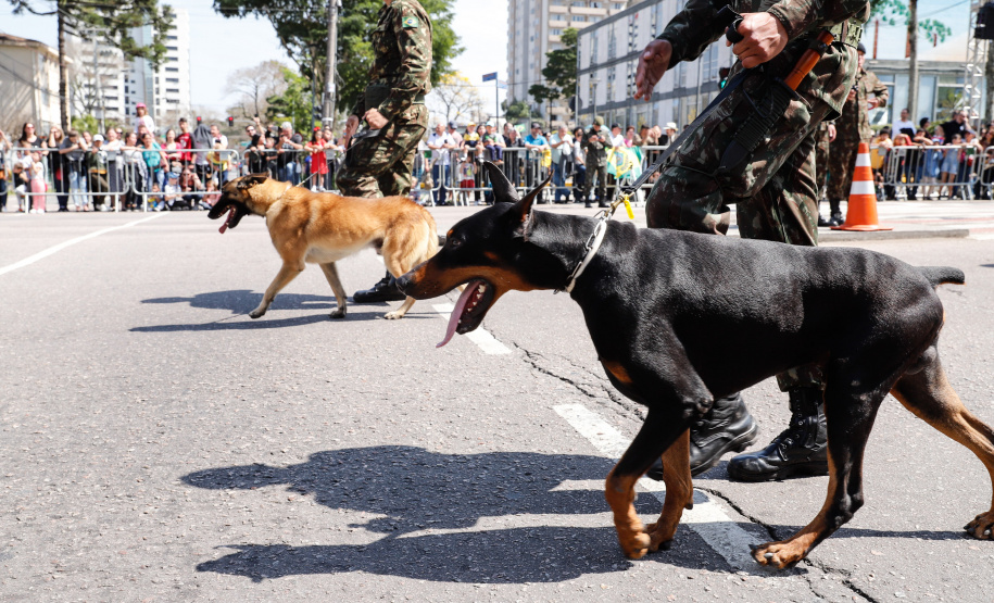 Aproximadamente 20 mil pessoas acompanharam neste sábado (7), em Curitiba, o desfile cívico-militar que comemora os 197 anos da Proclamação da Independência, segundo estimativas da Polícia Militar do Paraná. O governador Carlos Massa Ratinho Junior assistiu a solenidade de 7 de Setembro na Avenida Cândido de Abreu, acompanhado de sua família, do comandante da 5ª Divisão do Exército, general de divisão José Russo Assumpção Delgado, do vice-governador Darci Piana e de diversas autoridades.