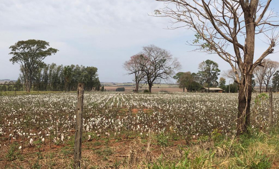 O Instituto de Terras, Cartografia e Geologia do Paraná (ITCG) assinou um Termo de Cooperação para que seja concluído o processo de reforma agrária e regularização fundiária dos assentamentos Norte Sul e Novo Horizonte, entre os municípios de Cafeara e Santo Inácio, no Noroeste do Estado, com anuência da Superintendência do Instituto Nacional de Colonização e Reforma Agrária (Incra). Foto: Divulgação/ITCG