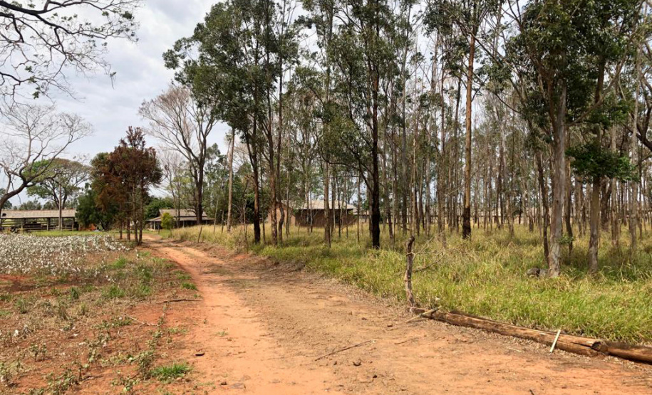 O Instituto de Terras, Cartografia e Geologia do Paraná (ITCG) assinou um Termo de Cooperação para que seja concluído o processo de reforma agrária e regularização fundiária dos assentamentos Norte Sul e Novo Horizonte, entre os municípios de Cafeara e Santo Inácio, no Noroeste do Estado, com anuência da Superintendência do Instituto Nacional de Colonização e Reforma Agrária (Incra). Foto: Divulgação/ITCG