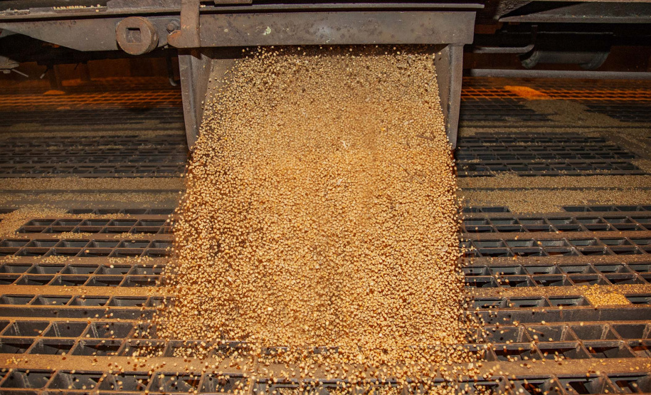 Desempenho confirma aumento da produtividade do Corredor de Exportação. Foto: Claudio Neves/Portos do Paraná