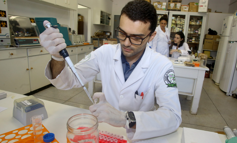 Universidades estaduais estão entre as melhores do mundo. Foto: Jaelson Lucas/AEN