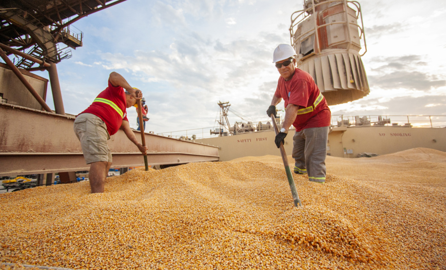 O Porto de Paranaguá lembra nesta sexta-feira (13) o aniversário de 116 de organização da categoria dos estivadores no Paraná. Fundado em 1903, o Sindicato dos Estivadores de Paranaguá (Sindestiva) foi um dos primeiros do país. É a classe de Trabalhador Portuário Avulso (TPA) mais antiga de Paranaguá. Atualmente, são cerca de 1.100 estivadores ativos no porto paranaense.