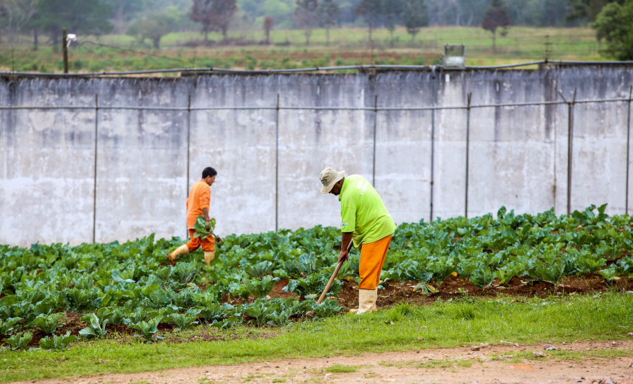 No Paraná, 7.002 presos custodiados pelo Departamento Penitenciário Estadual (Depen) trabalham em projetos para a remição de pena, em todas as unidades penais do Estado, o que representa 30% da população carcerária do Paraná. Segundo colocado no ranking nacional, os detentos trabalham em 11 fábricas de uniformes, sete de pavers (bloquetos de pavimentação de calçadas), uma de bolas, uma de fraldas, uma indústria gráfica e uma de tijolos ecológicos.-Foto: Gilson Abreu/AEN