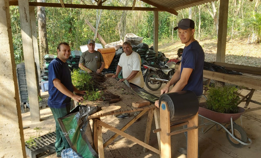 Programa Paraná Mais Verde. Foto: Divulgação/SEDEST