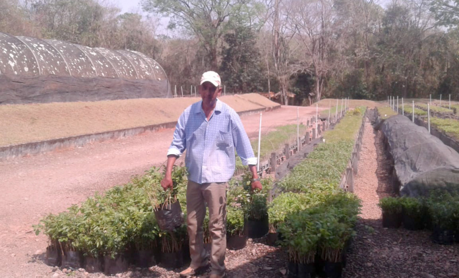 Programa Paraná Mais Verde. Foto: Divulgação/SEDEST