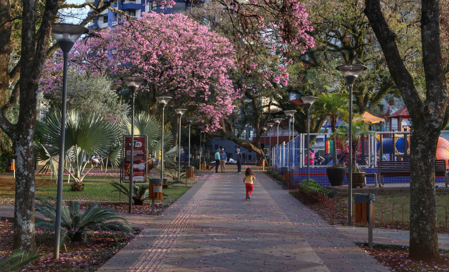 A primavera começa às 4h50 desta segunda-feira, 23 de setembro, e termina à 1h19 de 22 de dezembro. Segundo a previsão do Simepar, no primeiro dia da estação as temperaturas serão amenas na maior parte do Paraná. As mínimas devem ficar entre 5 oC em Rio Negro e 17 oC em Guaíra. As máximas devem variar de 13 oC em Curitiba a 29 oC em Paranavaí e Umuarama. Foto: José Fernando Ogura/AEN