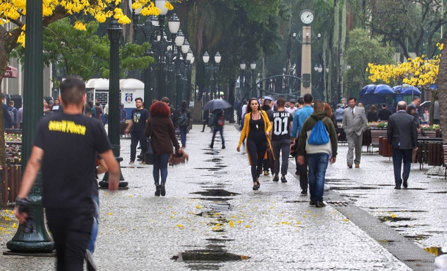 A primavera começa às 4h50 desta segunda-feira, 23 de setembro, e termina à 1h19 de 22 de dezembro. Segundo a previsão do Simepar, no primeiro dia da estação as temperaturas serão amenas na maior parte do Paraná. As mínimas devem ficar entre 5 oC em Rio Negro e 17 oC em Guaíra. As máximas devem variar de 13 oC em Curitiba a 29 oC em Paranavaí e Umuarama. Foto: José Fernando Ogura/AEN