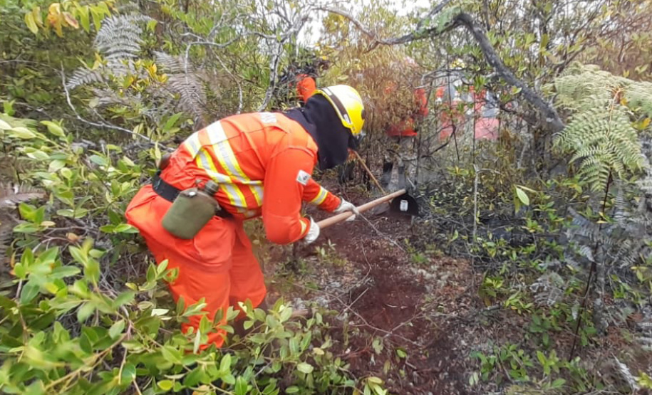 A atuação que os bombeiros paranaenses tiveram na Amazônia, integrando a Operação Verde Brasil, do Ministério da Defesa, será valiosa para os trabalhos no Paraná, em favor da população do Estado. “Nossa experiência na Amazônia nos prepara para o trabalho que faremos no nosso Estado”, avalia o tenente-coronel Fernando Raimundo Schunig, comandante da equipe paranaense e do 3º Comando Regional dos Bombeiros, sediado em Cascavel (Oeste). Foto: Divulgalção/PMPR