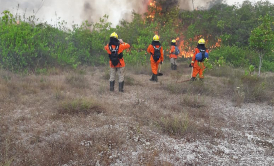 A atuação que os bombeiros paranaenses tiveram na Amazônia, integrando a Operação Verde Brasil, do Ministério da Defesa, será valiosa para os trabalhos no Paraná, em favor da população do Estado. “Nossa experiência na Amazônia nos prepara para o trabalho que faremos no nosso Estado”, avalia o tenente-coronel Fernando Raimundo Schunig, comandante da equipe paranaense e do 3º Comando Regional dos Bombeiros, sediado em Cascavel (Oeste). Foto: Divulgalção/PMPR