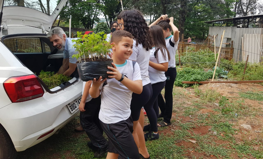 O Governo do Estado montou uma logística especial para o envio de mudas de árvores às escolas estaduais e Apaes de todo o Paraná. Mais de 3 mil pessoas estão atuando na tarefa de entregar e receber as mudas de espécies nativas, que serão plantadas dentro do programa de arborização Paraná Mais Verde. Foto: Divulgação/SEDEST