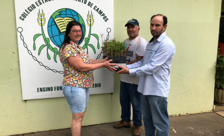 O Governo do Estado montou uma logística especial para o envio de mudas de árvores às escolas estaduais e Apaes de todo o Paraná. Mais de 3 mil pessoas estão atuando na tarefa de entregar e receber as mudas de espécies nativas, que serão plantadas dentro do programa de arborização Paraná Mais Verde. Foto: Divulgação/SEDEST