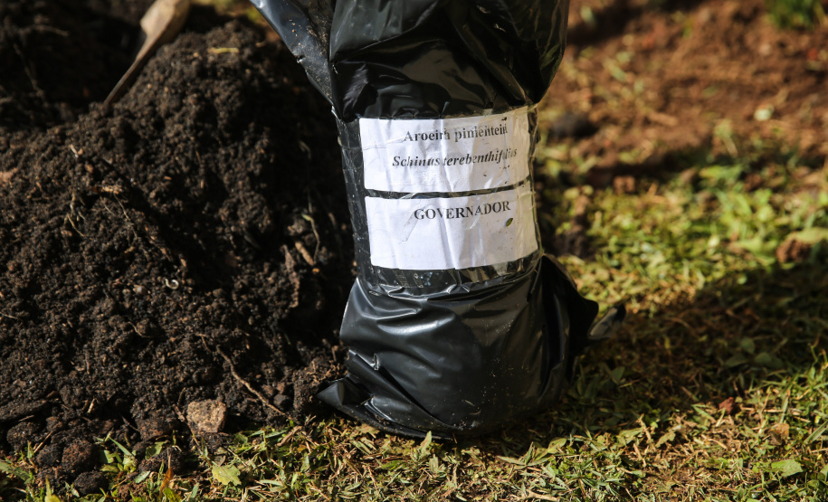 O governador Carlos Massa Ratinho Junior participa nesta segunda-feira (23) do plantio de árvores no Colégio Estadual Professora Maria Gai Grendel, no bairro Caximba, em Curitiba. O evento marcará o início do programa Paraná mais Verde, que vai incentivar o plantio de mudas de árvores nativas em todo o Estado.   23/09/2019 - Foto: Geraldo Bubniak/AEN