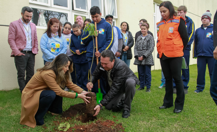 Na manhã desta segunda feira 23.09.2019, a primeira dama Luciana Saito Massa e os secretários, Renato Feder (Educação) e Márcio Nunes (Desenvolvimento Sustentável e Turismo),  participaram do plantio de árvore na Escola Estadual  Lucy Requião de Mello e Silva.Foto: Valdelino Pontes.