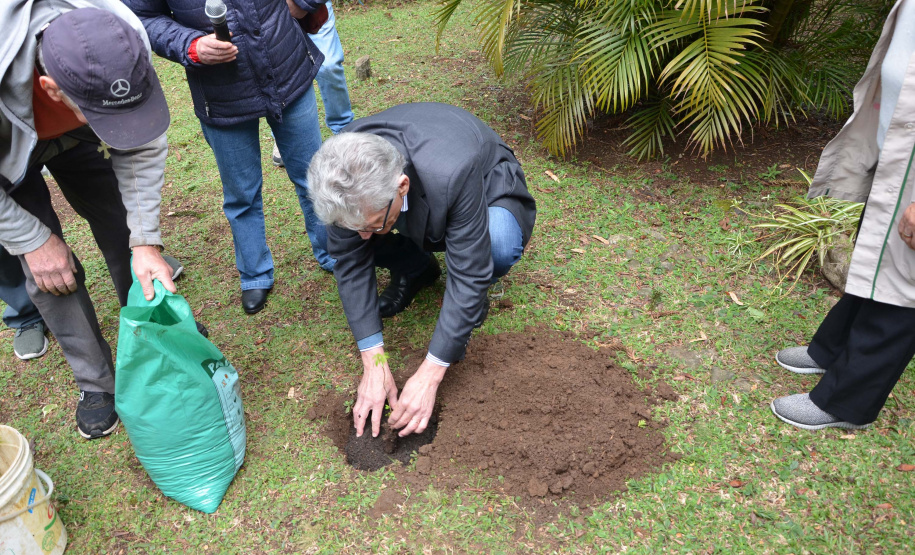 O secretário da Agricultura Norberto Ortigara, participa do  plantio de árvore, no colégio Leôncio Correia. Foto: Gisele Barão/SEAB