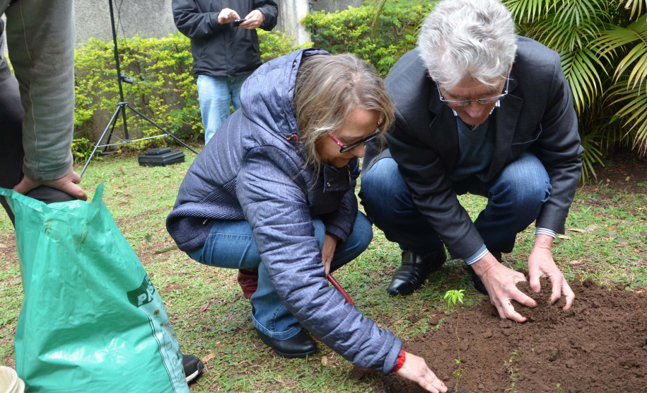 O secretário da Agricultura Norberto Ortigara, participa do  plantio de árvore, no colégio Leôncio Correia. Foto: Gisele Barão/SEAB