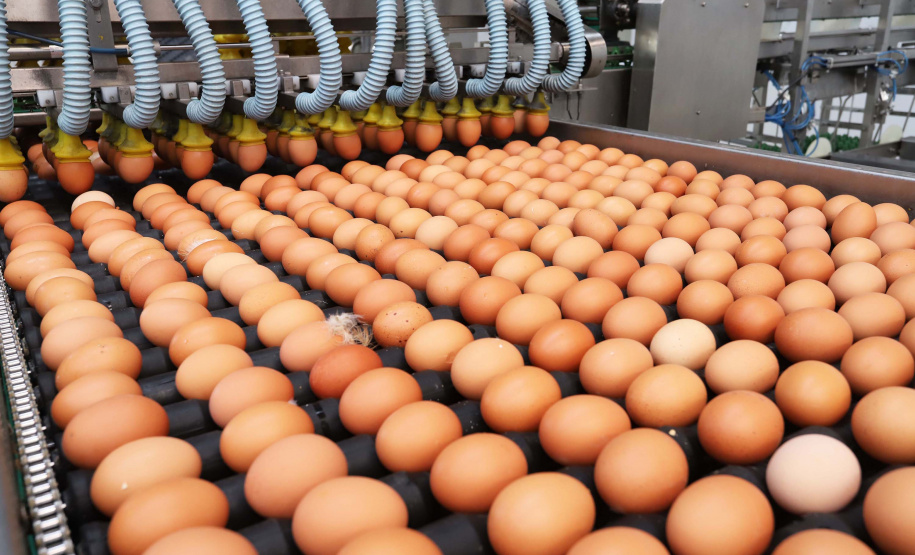 O desempenho paranaense decorreu principalmente pelos bons resultados no setor agropecuário e da indústria, com crescimentos de 3,52% e 2,94%, respectivamente. A produção florestal, pecuária, fabricação de veículos automotores e indústria de máquinas e equipamentos (bens de capital) foram decisivos na retomada apontada no período.Foto: Arnaldo Alves / ANPr.