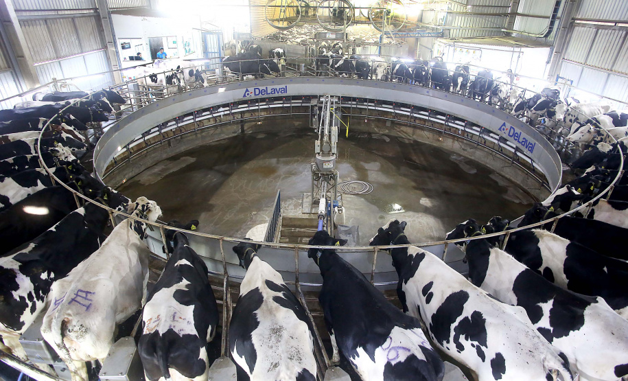 O desempenho paranaense decorreu principalmente pelos bons resultados no setor agropecuário e da indústria, com crescimentos de 3,52% e 2,94%, respectivamente. A produção florestal, pecuária, fabricação de veículos automotores e indústria de máquinas e equipamentos (bens de capital) foram decisivos na retomada apontada no período. Foto:Jaelson Lucas / AEN