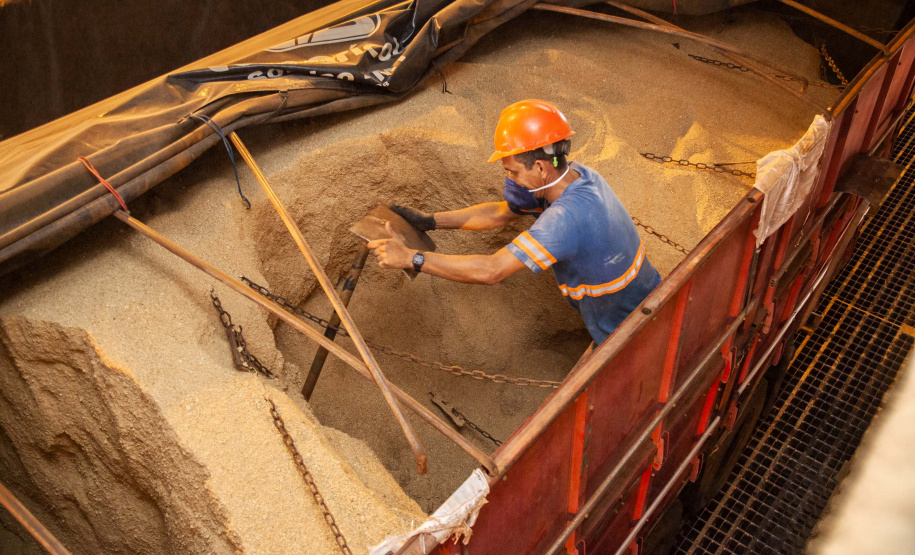 Até o final deste ano, o Porto de Paranaguá deve receber para descarga mais de 6,12 milhões de toneladas de granéis para exportação. O volume esperado para o último trimestre de 2019 é 14% maior que o total movimentado pelo setor no mesmo período do ano passado. Nos três últimos meses de 2018 foram exportadas cerca de 5,26 milhões de toneladas de soja, milho, farelo e açúcar. Foto: Claudio Neves/Portos do Paraná