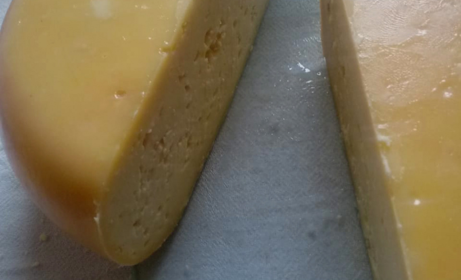 A produção leiteira mudou a vida de Angelita e Rogério Surkamp, moradores de Pinhão, no Centro-Sul do Estado