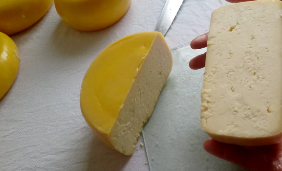 A produção leiteira mudou a vida de Angelita e Rogério Surkamp, moradores de Pinhão, no Centro-Sul do Estado