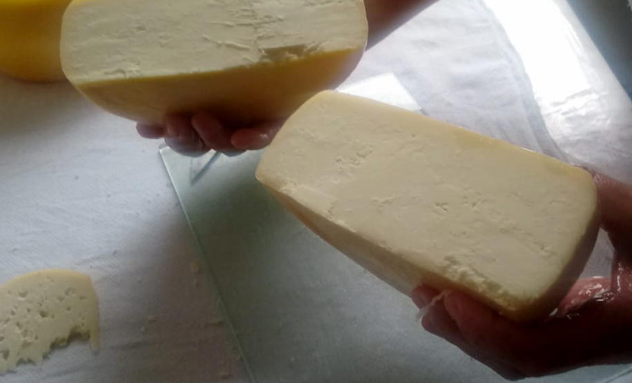 A produção leiteira mudou a vida de Angelita e Rogério Surkamp, moradores de Pinhão, no Centro-Sul do Estado