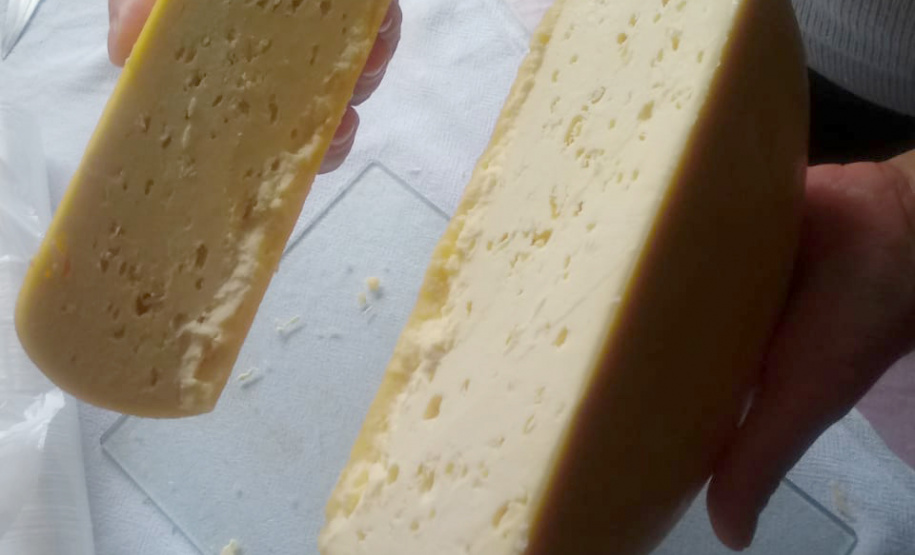 A produção leiteira mudou a vida de Angelita e Rogério Surkamp, moradores de Pinhão, no Centro-Sul do Estado