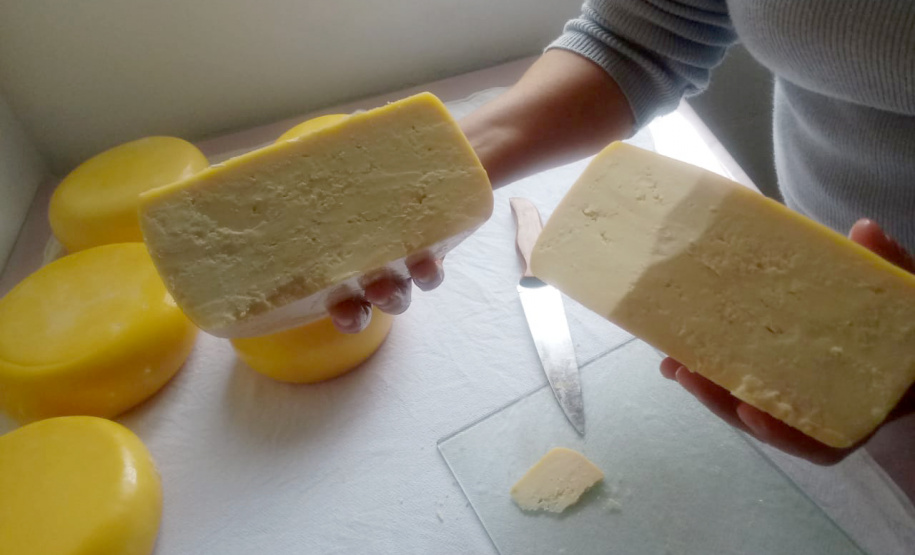 A produção leiteira mudou a vida de Angelita e Rogério Surkamp, moradores de Pinhão, no Centro-Sul do Estado