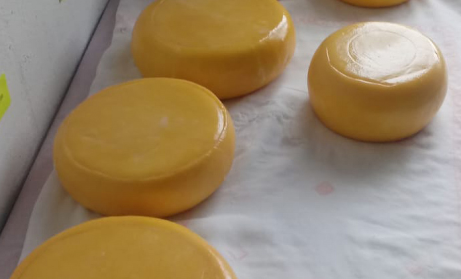 A produção leiteira mudou a vida de Angelita e Rogério Surkamp, moradores de Pinhão, no Centro-Sul do Estado