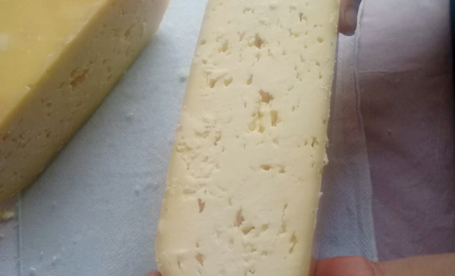 A produção leiteira mudou a vida de Angelita e Rogério Surkamp, moradores de Pinhão, no Centro-Sul do Estado