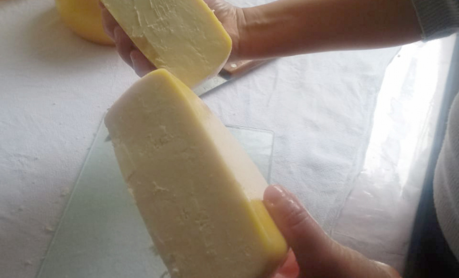 A produção leiteira mudou a vida de Angelita e Rogério Surkamp, moradores de Pinhão, no Centro-Sul do Estado