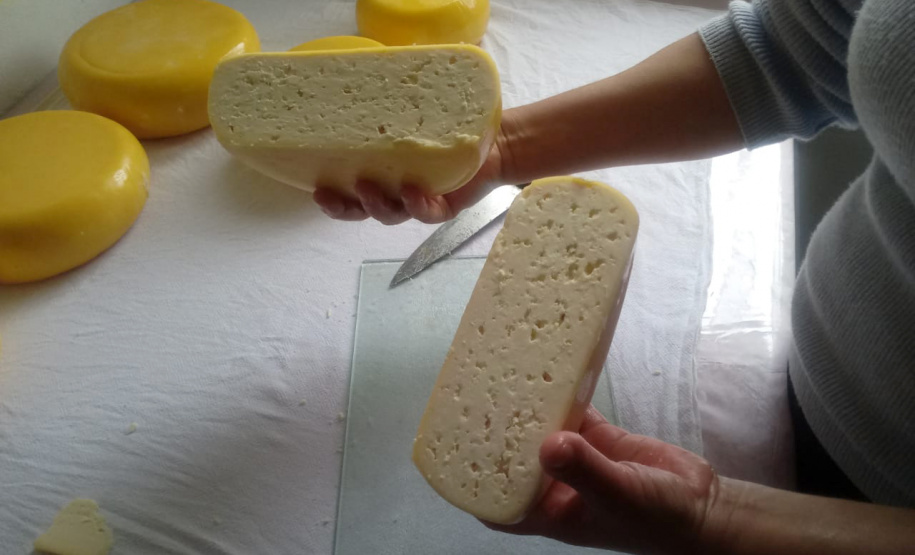 A produção leiteira mudou a vida de Angelita e Rogério Surkamp, moradores de Pinhão, no Centro-Sul do Estado