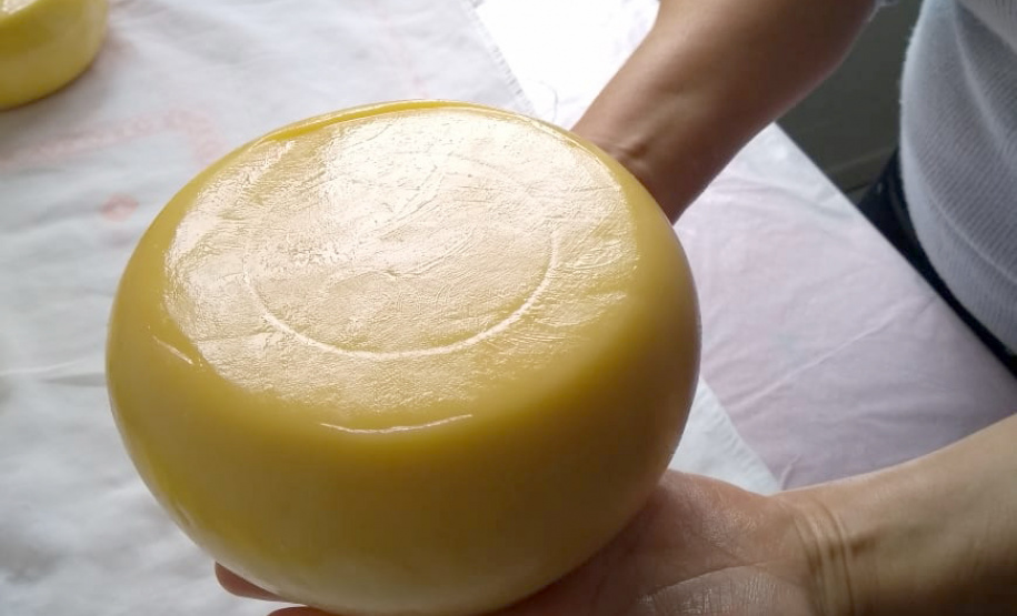 A produção leiteira mudou a vida de Angelita e Rogério Surkamp, moradores de Pinhão, no Centro-Sul do Estado