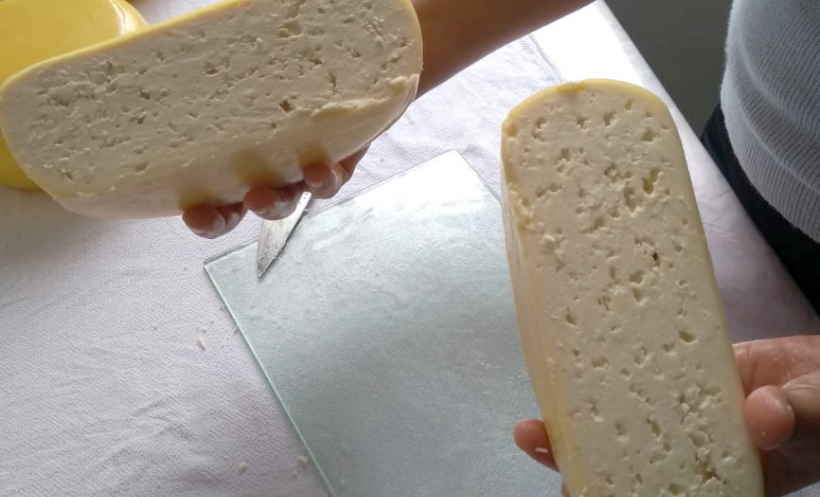 A produção leiteira mudou a vida de Angelita e Rogério Surkamp, moradores de Pinhão, no Centro-Sul do Estado