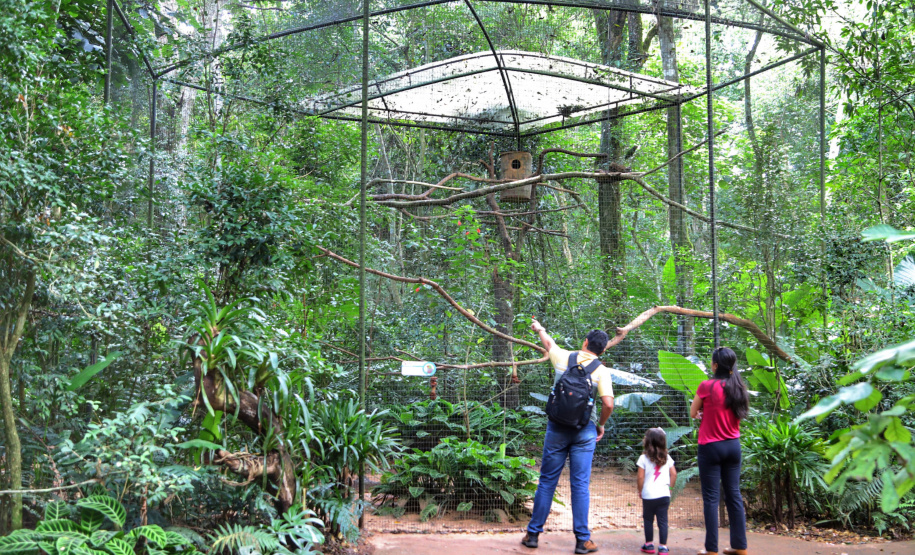 04/2019 - Foz do Iguaçu - Parque das Aves. Foto: José Fernando Ogura/AEN
