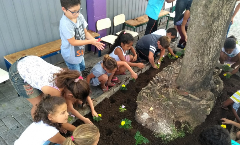 Foto: Divulgação/SEJUF
