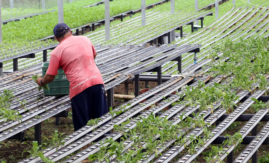 Produtores rurais sem comercialização podem perder cadastro. Foto: Gilson Abreu/AEN