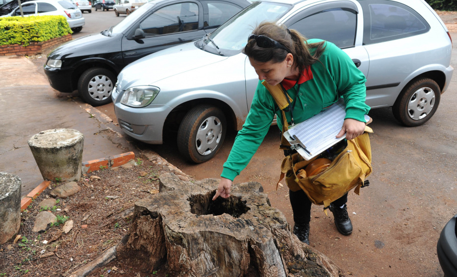 Com nova estação, Paraná intensifica prevenção contra dengue. Foto: Venilton Kuchler/Arquivo AEN